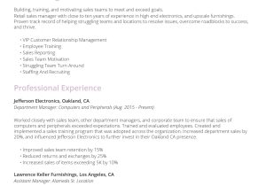 Employee Of the Year Resume Sample the Best Resume Examples for A Perfect Job Application – Freesumes