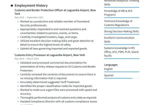 Employment Agency Jobs On Resume Samples Government Resume Examples & Writing Tips 2022 (free Guide) Employment Agency Jobs On Resume Samples Government Resume Examples & Writing Tips 2022 (free Guide)