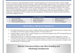 Emr and Edr Related Sample Resumes Internet Commerce before and after Branding and Marketing …