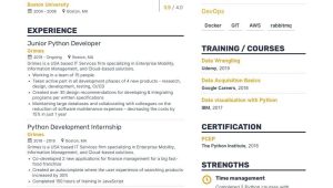 Enetry Level Pythi On Developer Resume Sample Professional Python Developer Resume Examples & Guide for 2022 …