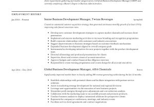 Engineering Business Development Manager Resume Samples Business Development Manager Resume & Guide 2022