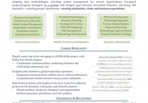 Enterprise It Pmo Executive Sample Resume Director Of Project Management Project Management Resume