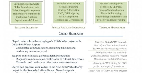 Enterprise It Pmo Executive Sample Resume Director Of Project Management Project Management Resume