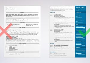 Enterprise It Pmo Executive Sample Resume It Manager Resume Examples [lancarrezekiqtemplate and 25 Tips]