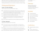 Enterprise It Pmo Executive Sample Resume It Project Manager Resume Examples In 2022 – Resumebuilder.com