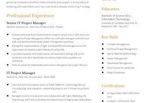 Enterprise It Pmo Executive Sample Resume It Project Manager Resume Examples In 2022 – Resumebuilder.com