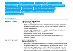 Enterprise It Pmo Executive Sample Resume Project Manager Resume Sample 2022 Writing Tips – Resumekraft