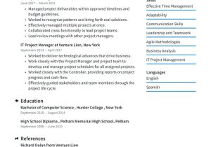 Enterprise It Project Manager Sample Resume It Project Manager Resume Examples & Writing Tips 2022 (free Guide)