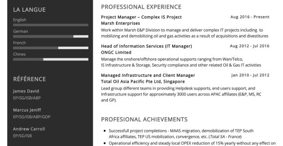 Enterprise It Project Manager Sample Resume It Project Manager Resume Sample 2022 Writing Tips – Resumekraft
