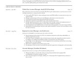 Entry Level Account Manager Resume Sample Account Manager Resume & Writing Guide  12 Examples 2022