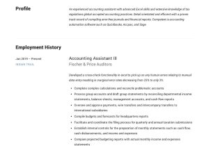 Entry Level Accounting assistant Resume Sample Accounting assistant Resume Example Resume Examples, Resume …