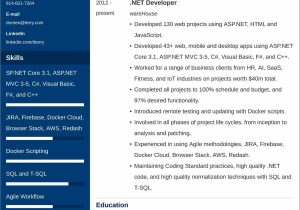 Entry Level asp Net Developer Resume Sample Net Developer Resumeâsample and 25lancarrezekiq Writing Tips
