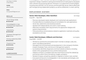 Entry Level asp Net Developer Resume Sample Web Developer Resume Examples & Writing Tips 2022 (free Guide)