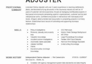 Entry Level Claims Adjuster Resume Samples Entry Level Insurance Claims Adjuster Resume Sample
