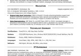 Entry Level Computer Technician Resume Sample Resume Sample Entry Level Puter Technician