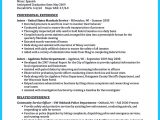 Entry Level Criminal Justice Resume Sample Entry Level Criminal Law Jobs