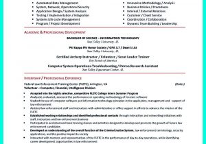 Entry Level Cyber Security Resume Sample Cyber Security Resume Must Be Well Created to Get the Job Position …