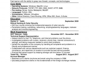 Entry Level Cyber Security Resume with No Experience Sample How Does My Entry Level Cyber Security Resume Look?: Itcareerquestions
