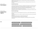 Entry Level Dental Hygienist Resume Samples Dental Hygienist Resume Samples All Experience Levels Resume …