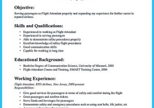 Entry Level Flight attendant Resume Sample Awesome Successful Low Time Airline Pilot Resume,,http://snefci …