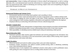 Entry Level Flight attendant Resume Sample Flight attendant Resume Example Resume Professional Writers