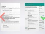 Entry Level Food Service Resume Sample Food Service Resume Examples [with Skills & Job Description]