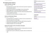 Entry Level Food Service Resume Sample Server Resume Examples & Writing Tips 2021 (free Guide) Â· Resume.io