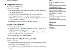 Entry Level Food Service Resume Sample Server Resume Examples & Writing Tips 2021 (free Guide) Â· Resume.io