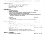 Entry Level It Resume Examples and Samples 9 Entry Level Resume Examples Pdf Doc
