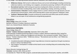 Entry Level It Resume Examples and Samples Entry Level Resume Examples and Writing Tips