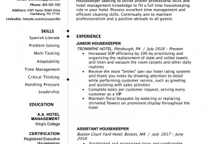 Entry Level It Resume Examples and Samples Entry Level Resume