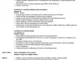 Entry Level Java Developer Resume Sample Entry Level Java Developer Resume