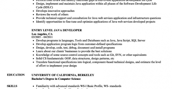 Entry Level Java Developer Resume Sample Entry Level Java Developer Resume Samples