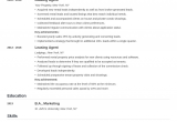 Entry Level Leasing Consultant Resume Sample Leasing Agent Resume Sample & Writing Guide [20 Tips]