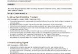 Entry Level Leasing Consultant Resume Sample Leasing Agent Resume Samples