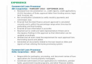 Entry Level Loan Processor Resume Sample Mercial Loan Processor Resume Samples