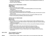 Entry Level Loan Processor Resume Sample Pin On Template Examples