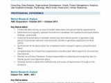 Entry Level Market Research Analyst Resume Sample Market Research Analyst Resume Samples