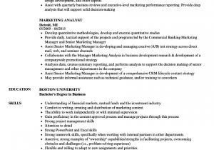 Entry Level Market Research Analyst Resume Sample Market Research Resume Examples Best Resume Examples