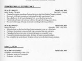 Entry Level Massage therapist Resume Sample √ 20 Entry Level Massage therapist Resume