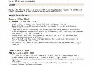 Entry Level Office Clerk Resume Sample General Fice Clerk Resume Samples