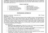 Entry Level Oil Rig Resume Sample Example Of A Oilfield Consultant Resume Sample