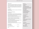 Entry Level Pastry Chef Resume Samples Chef Resume Templates – Design, Free, Download Template.net