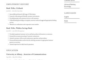 Entry Level Personal Banker Resume Sample Bank Teller Resume Examples & Writing Tips 2022 (free Guide)