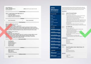 Entry Level Personal Banker Resume Sample Personal Banker Resume Examples (guide, Skills & More)