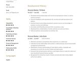 Entry Level Personal Banker Resume Sample Personal Banker Resume Examples & Writing Tips 2022 (free Guide)