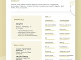 Entry Level Personal Carer Resume Sample Caregiver Resume Sample and Tips Skillhub