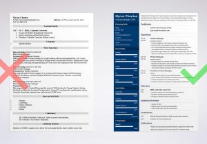 Entry Level Product Analyst Resume Sample Product Manager Resume Examples (guide & Template)