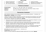Entry Level Programmer Resume Summary Samples Sample Resume for A Midlevel Computer Programmer Monster.com