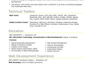Entry Level Programmer Resume Summary Samples Sample Resume for An Entry-level It Developer Monster.com